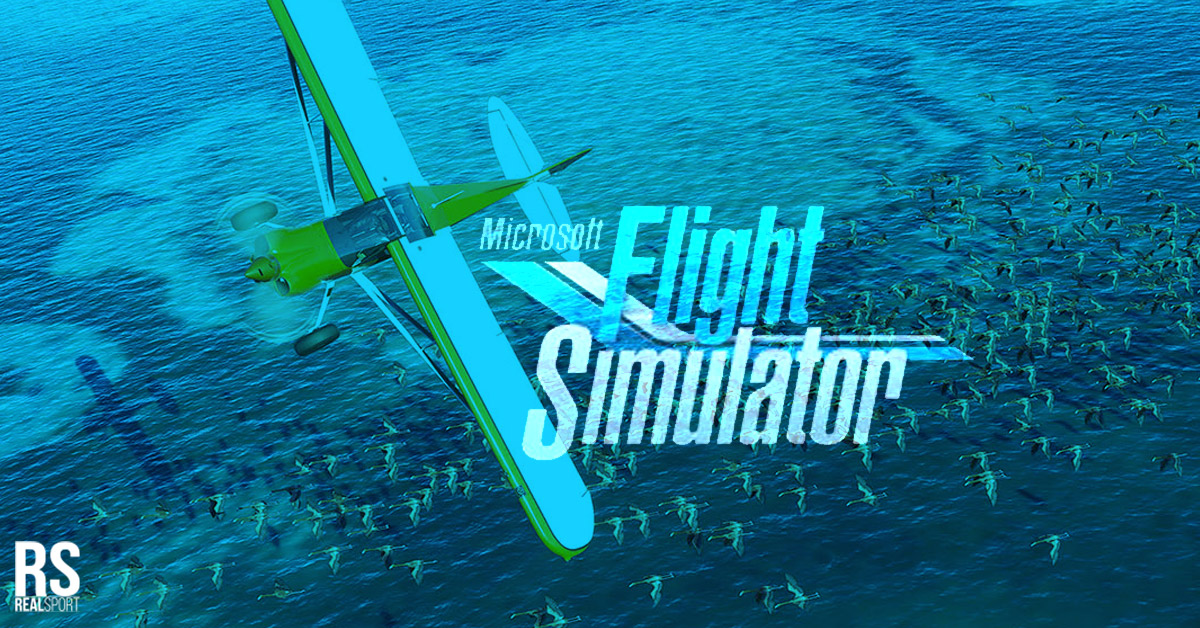 *UPDATED* Microsoft Flight Simulator 2020: Pre-orders OPEN, Update