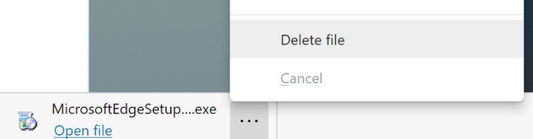 Remove the file download UI