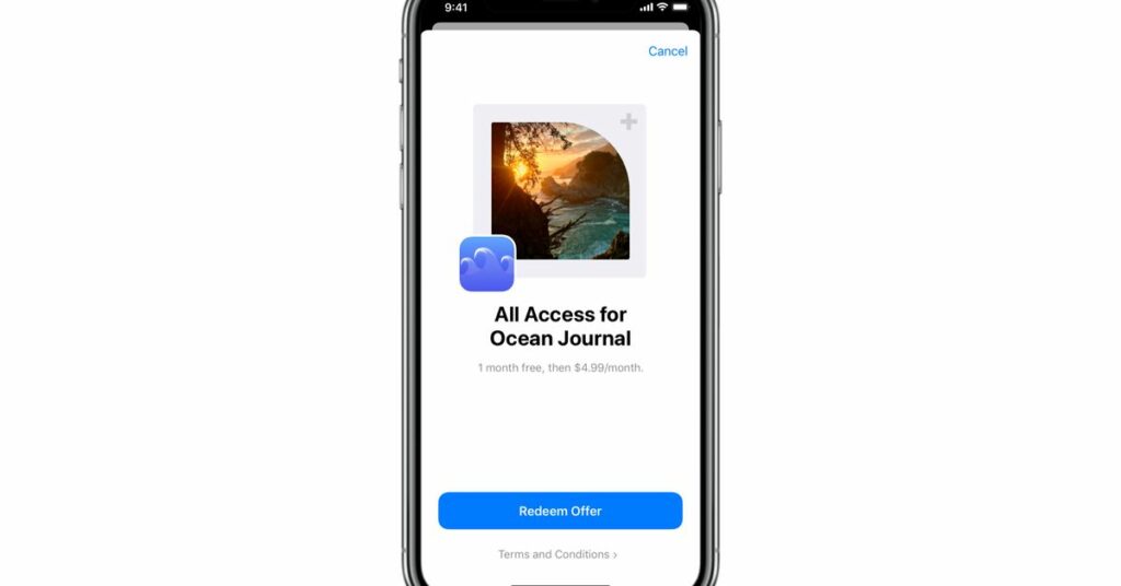 Allow Apple to offer app developers free or discounted subscriptions via offer codes