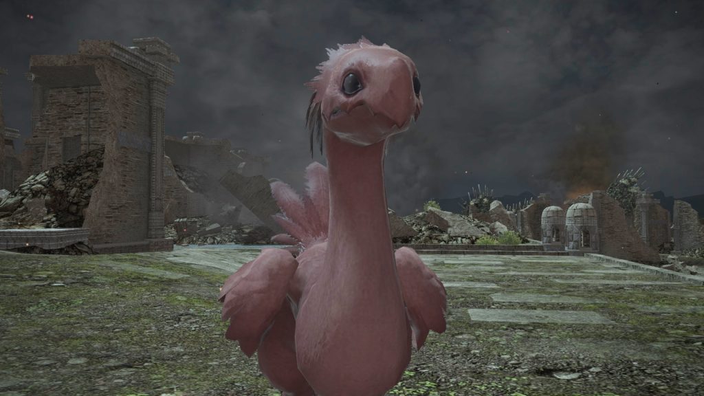 The red chocobo of FINAL FANTASY 14 returns and kills everyone