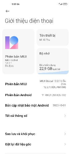 About Xiaomi Mi 10 Pro Android 11