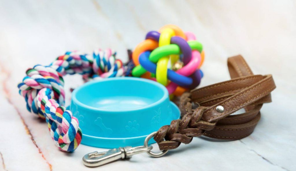 The dog puts the toys in the water bowl: the real reasons