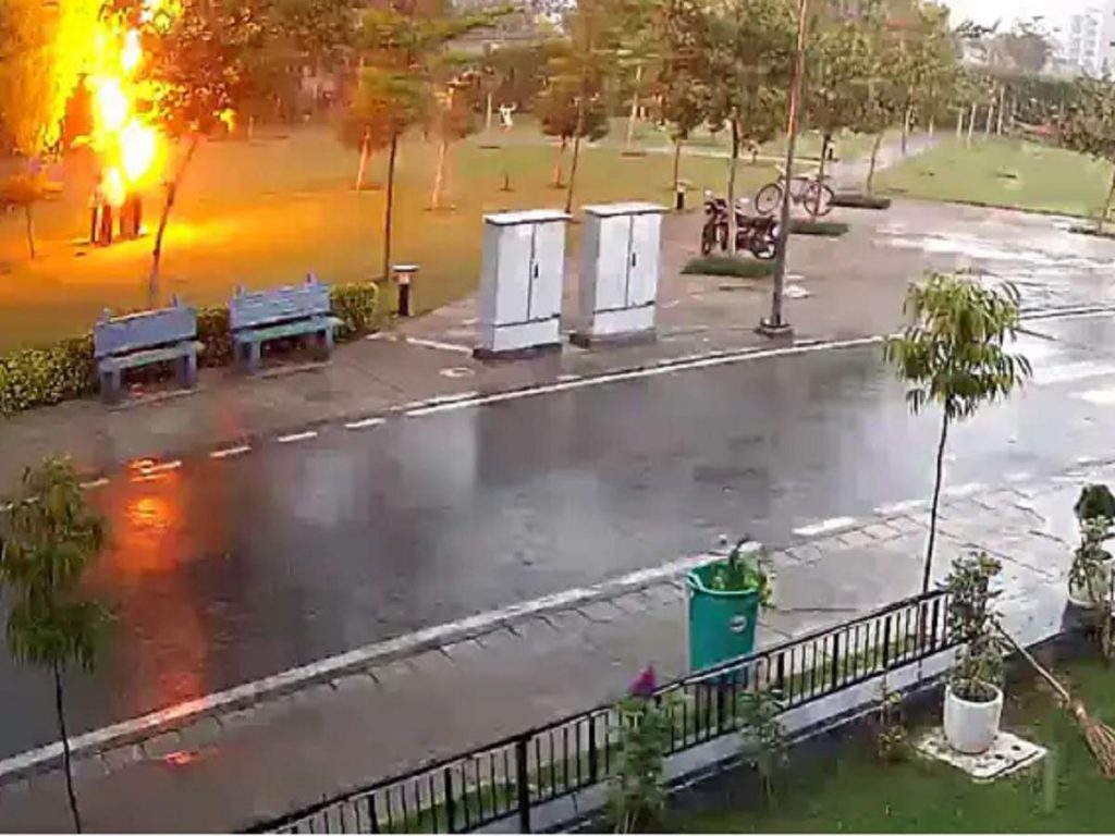 gurgaon pidugu: If the tree falls, it's raining ... shock!  Lightning, CCTV camera video - shocking video: lightning in Gurgaon captured by CCTV camera
