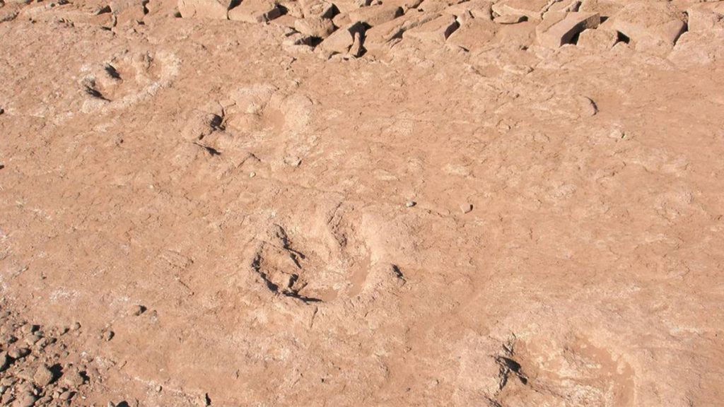 12 dinosaur footprints appeared in Chocón Medio