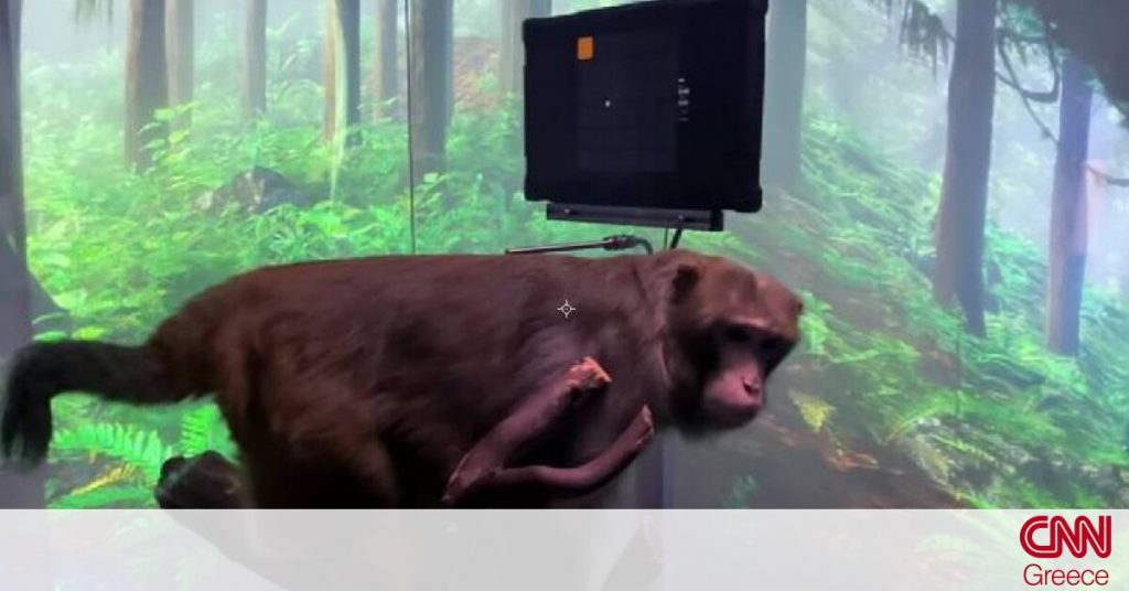 Technological revolution: Monkey plays video games with thought