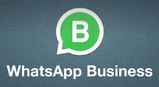 WhatsApp Business presents the option to update the status of the profile image