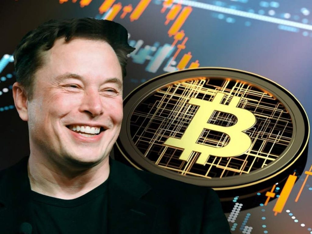Elon Musk on Bitcoin Creator: Who Created Bitcoin?  Alan Muskney reveals secrets, reveals name - Marathi News |  Who Created Bitcoin?  Elon Musk revealed Satoshi Nakamoto's secret name