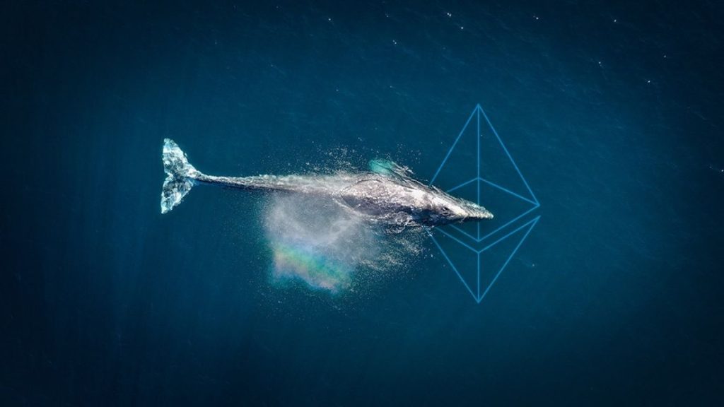 Ethereum's second largest whale just bought millions of dollars in these altcoins