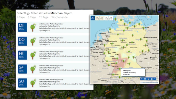 At Wetter.de you will find the interactive pollen map.