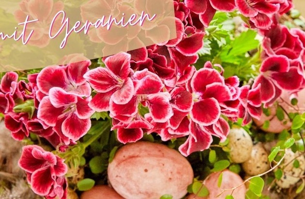 Happy Easter!  Floral decoration ideas with geraniums