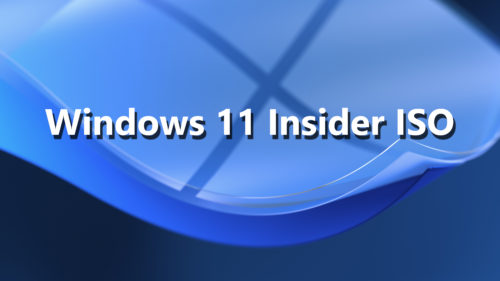Windows 11 22H2 22610 ISO/ESD (German, English)
