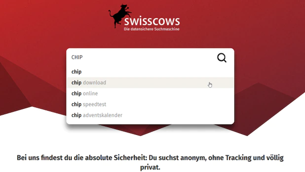 Swisscows offers anonymity and security from Switzerland, with its own search index instead of Bing's.