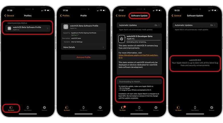 Screenshots showing how to install watchOS 9 beta for developers