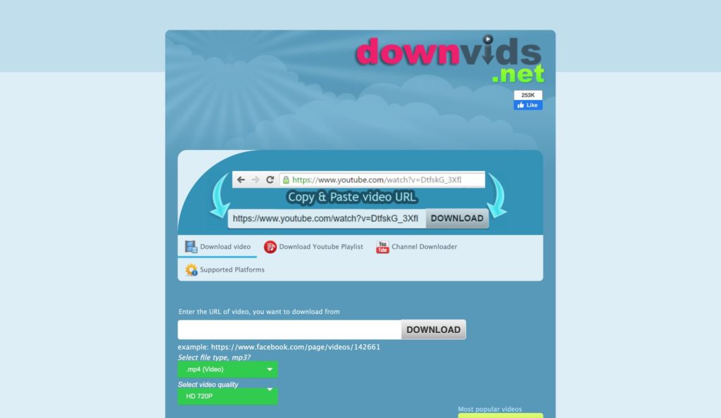 Downloader online Downvids.net