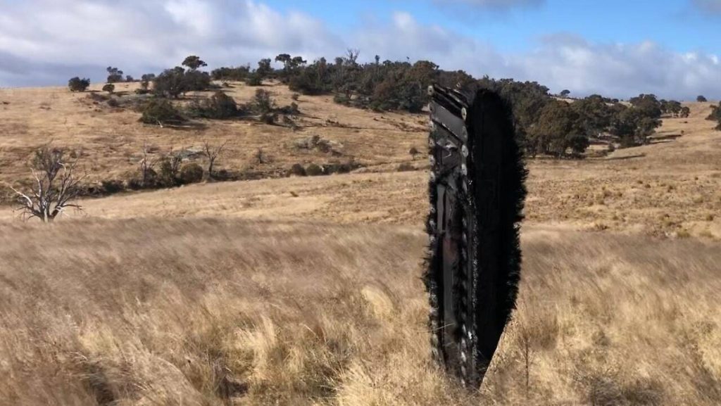Charred part three meters high: Space debris from SpaceX falls on the sheep's pasture