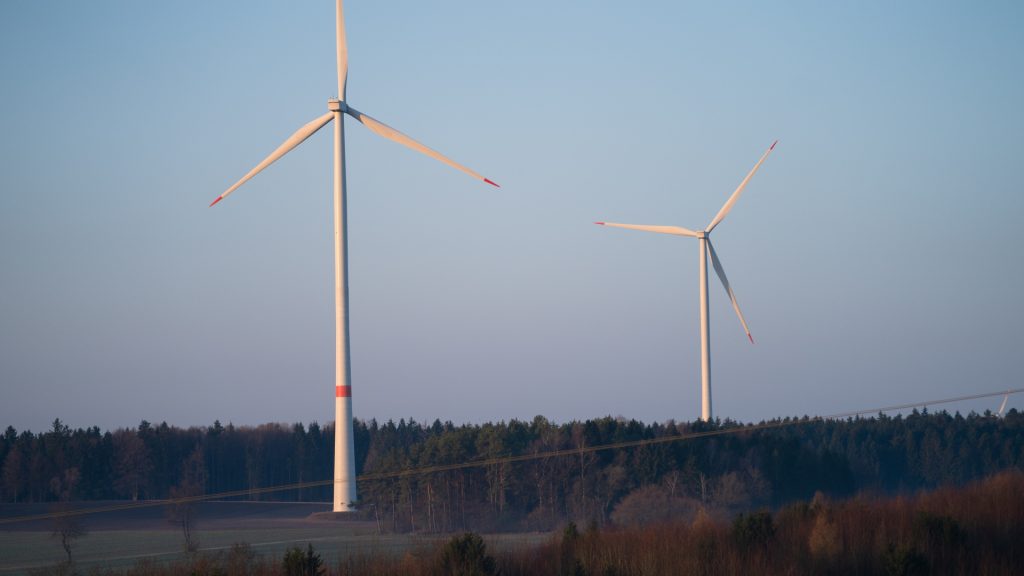 Species protection in Bavaria: how lawsuits are holding back the expansion of wind power