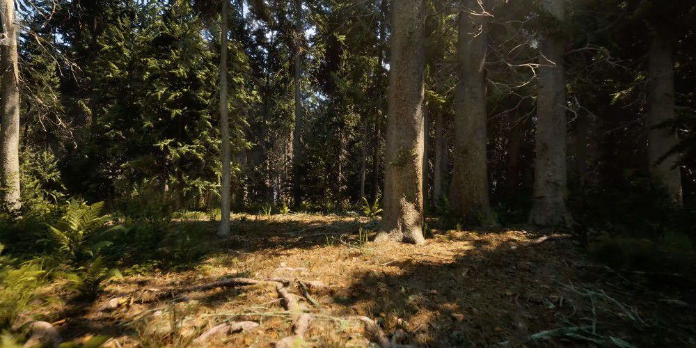 Unreal Engine 5: Forest Scene Graphics Demo Free Download
