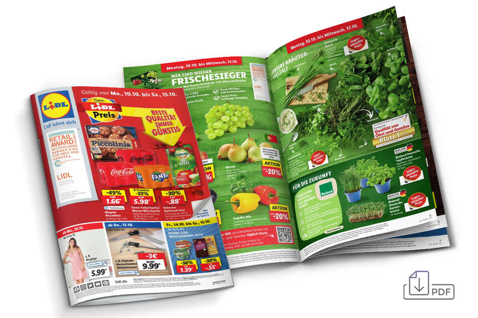 Click and discover the current Lidl brochure and all offers.