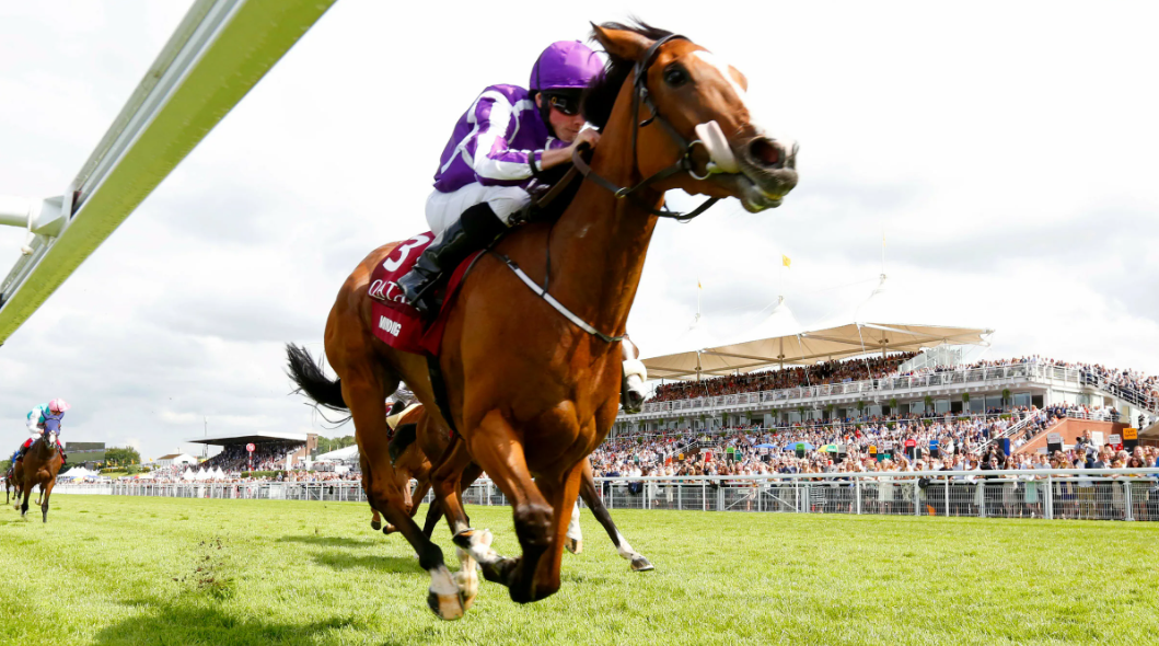 How to bet on horse races for beginners Get Started Betting on Horse