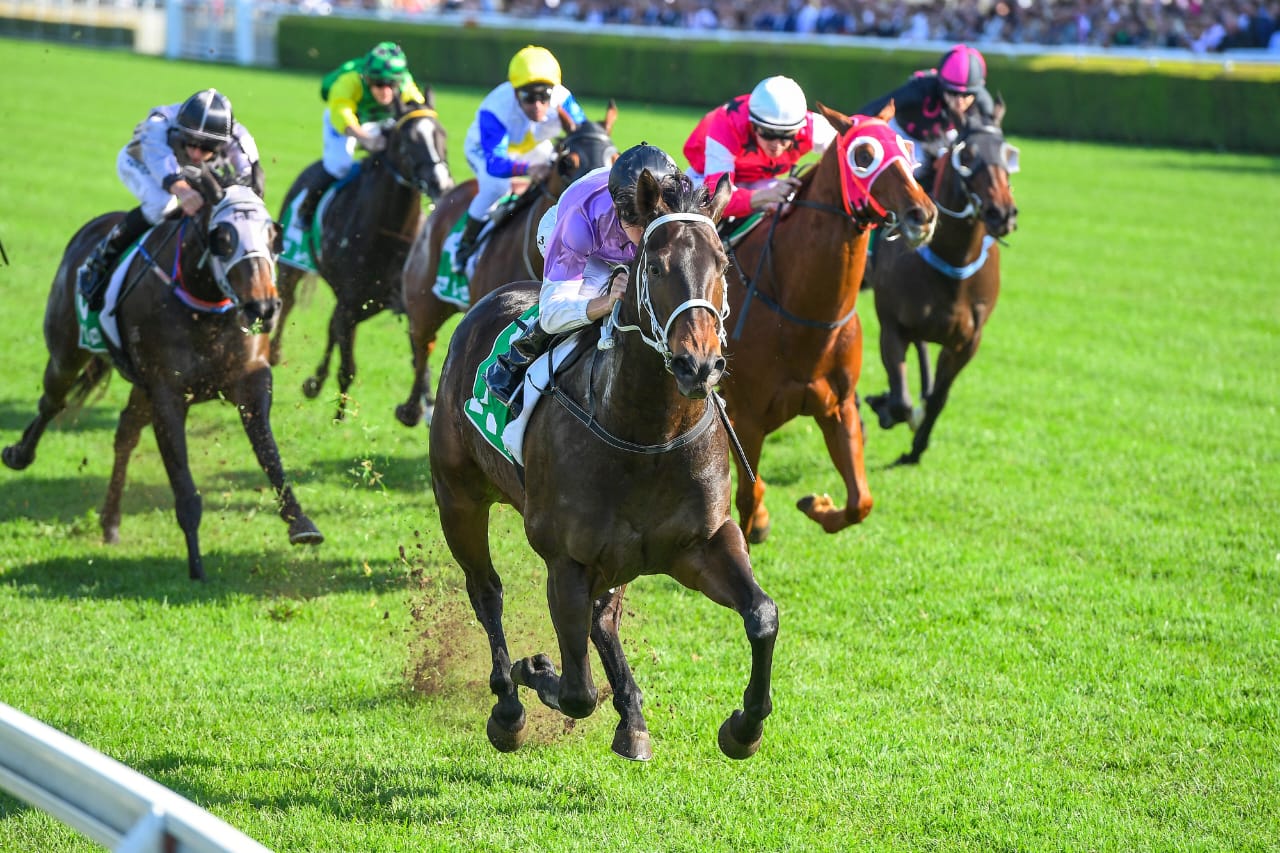 Melbourne Cup Tips And Tricks A Cheat Sheet For New Bettors
